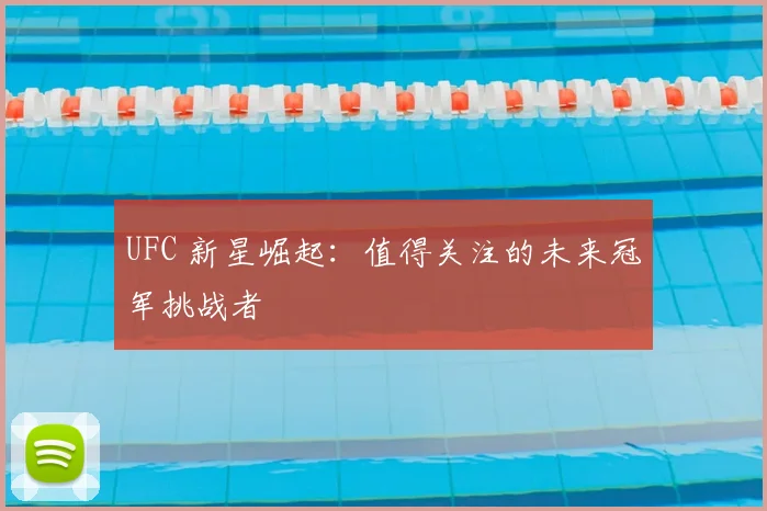 UFC 新星崛起:值得关注的未来冠军挑战者
